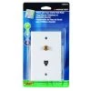 Discount 🎉 Monster Just Hook It Up White 1 gang Plastic Coax/Phone Wall Plate 1 pk 💯 -Minwax store online 17d79b3c f3ab 4607 bcb2 882de3370229