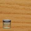Deals 🎁 Minwax PolyShades Semi-Transparent Satin Classic Oak Oil-Based Stain/Polyurethane Finish 0.5 pt ⭐ -Minwax store online 46337734 aee2 4ce8 bd57 4c0437beccd4