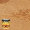 Deals ⌛ Minwax Wood Finish Semi-Transparent Golden Pecan Oil-Based Penetrating Wood Stain 0.5 pt 😍 -Minwax store online 592c500e e237 4aa2 8b07 0969246ad82b