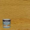 Best deal ✔️ Minwax PolyShades Semi-Transparent Gloss Honey Pine Oil-Based Stain/Polyurethane Finish 0.5 pt 🛒